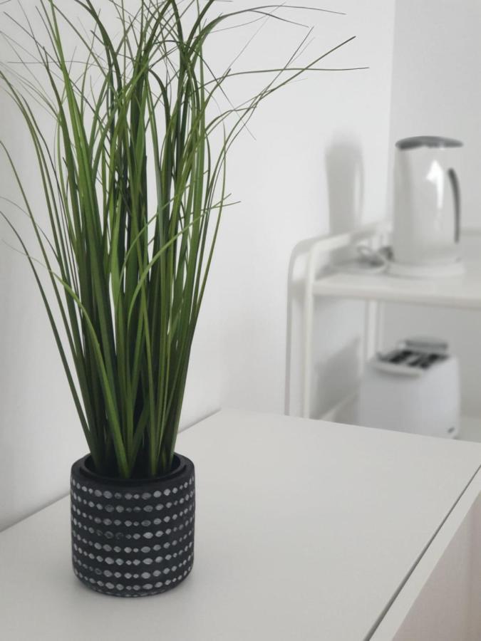 Palmeira Comfort Aveiro Eksteriør bilde